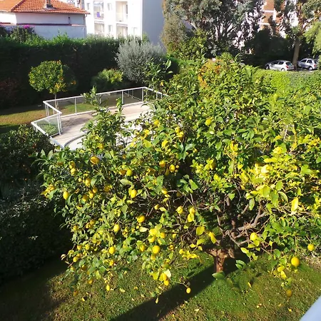 Apartment Spacious 3 Bedroom Flat Near City Centre And Beaches Antibes